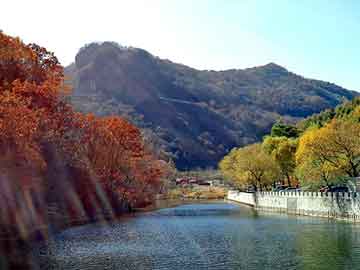 新澳天天开奖资料大全旅游团，丰田大水牛